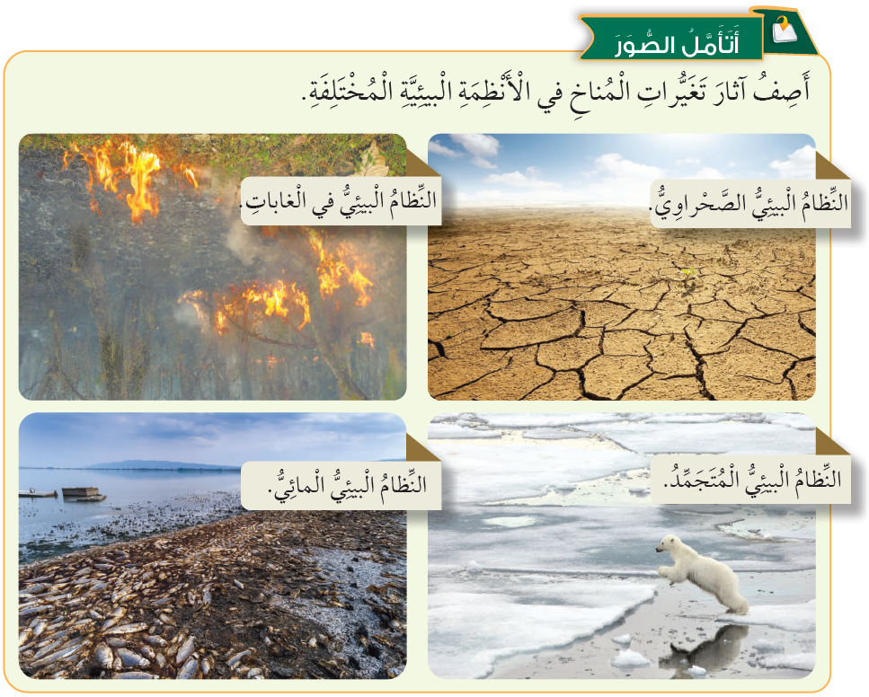 آثار تغيرات المناخ في الأنظمة البيئية